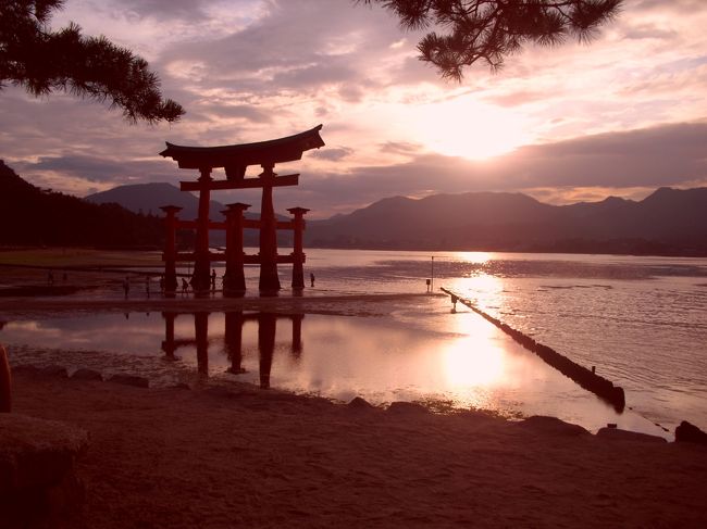 ロープウェイが点検中で山に登ることはできなかったですが、厳島の割と奥の方まで行ってきました。