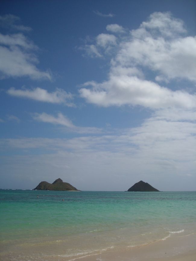 ２００９年１２月オアフ島に行った時の旅行記です。<br />１２月のハワイはクリスマスの飾り付けで華やか。<br />心地よいハワイの風に吹かれて６日間を過ごしました。<br /><br />写真はラニカイビーチ