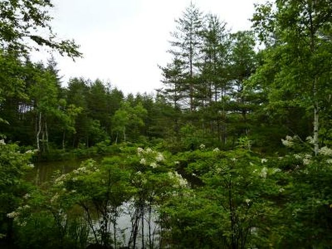 毎年恒例の避暑地　<br />7月29日〜8月22日までに浅間高原でのんびりと過ごす。<br />上信越国立公園内にある浅間高原。<br />標高1300ｍあり、とても涼しく快適♪<br />でも、今年は雷雨が多く、例年なく湿度が高いのが特徴。<br />その影響か、瑞々しい高原の緑に癒されます。<br /><br />☆Ｖｏｌ１<br /><br />我が別荘近辺の浅間高原。<br />標高1300ｍあり、軽井沢よりも標高が高いのが魅力。<br />そのため、軽井沢よりも5度も低い冷涼な気候。<br />のんびりとバカンス♪<br />クーラー要らずの冷たい風に、美味しい高原野菜。<br />高原には短い夏を謳歌するように咲く花々。<br />美しい冷涼な高原、愛しています♪