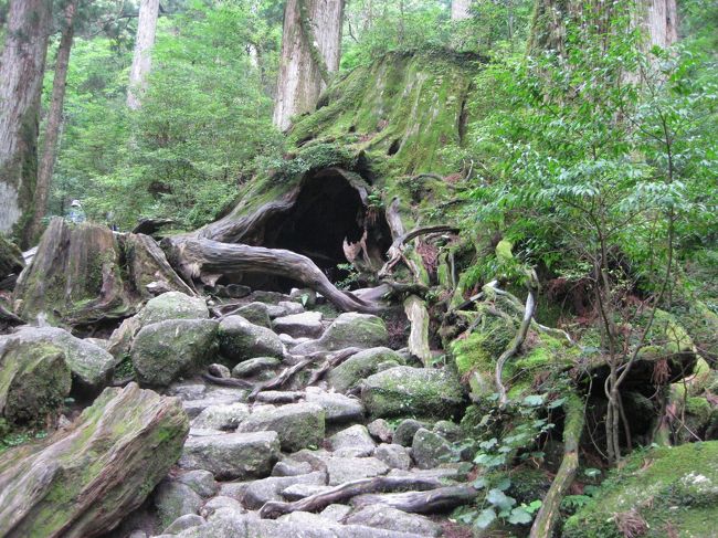 せっかく九州に住むことになったのだから、世界遺産・屋久島に行きたい。<br />ただ天候が変わりやすい場所だし、台風や大雨とぶつかったら嫌だし。<br />そんなことを悩んだ挙句、身軽な“一人でノープラン、条件は天気がいい日”に行くことにした。<br /><br />結局、宿だけ予約して屋久島へ。<br />あとは行けばなんとかなる、と「ことりっぷ」片手に家を飛び出した。