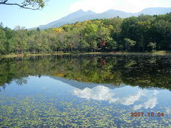 北海道②オシンコシンの滝、知床、知床五湖