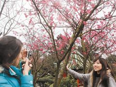 台湾やばいいね～