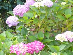 スロベニア・クロアチア・モンテネグロ・ボスニアヘルツェゴビナ①4カ国周遊9日間