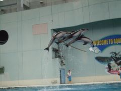 『イッテＱ水族館』が見たくて・・・in八景島シーパラ④　～ジンベエショー後編～