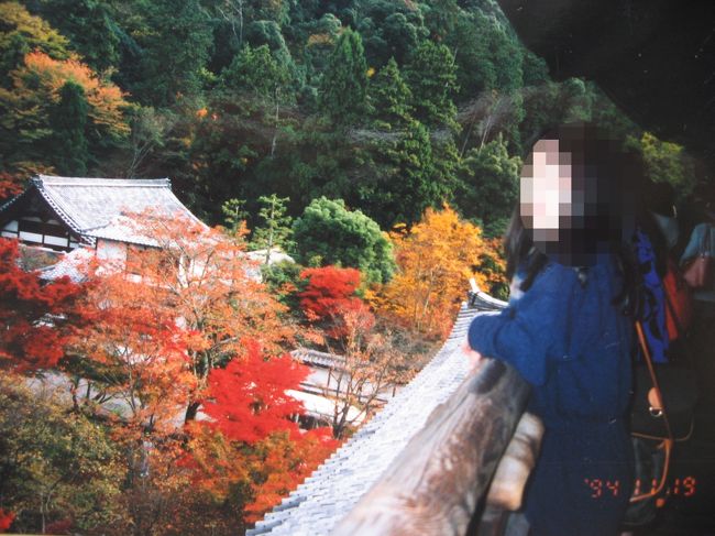 1994年に行った京都＆奈良の写真です。<br />古いデータですが紅葉が結構綺麗だったので記念に載せました。<br />古いので記憶があいまいで場所が間違ってるかもしれません。<br /><br />★世界遺産「古都京都の文化財」（文化遺産）1994年登録<br />　古都京都の文化財に含まれる行ったお寺<br />　・金閣寺<br />　・清水寺