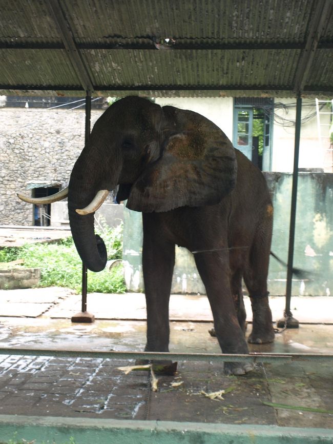 格差１０倍の動物園