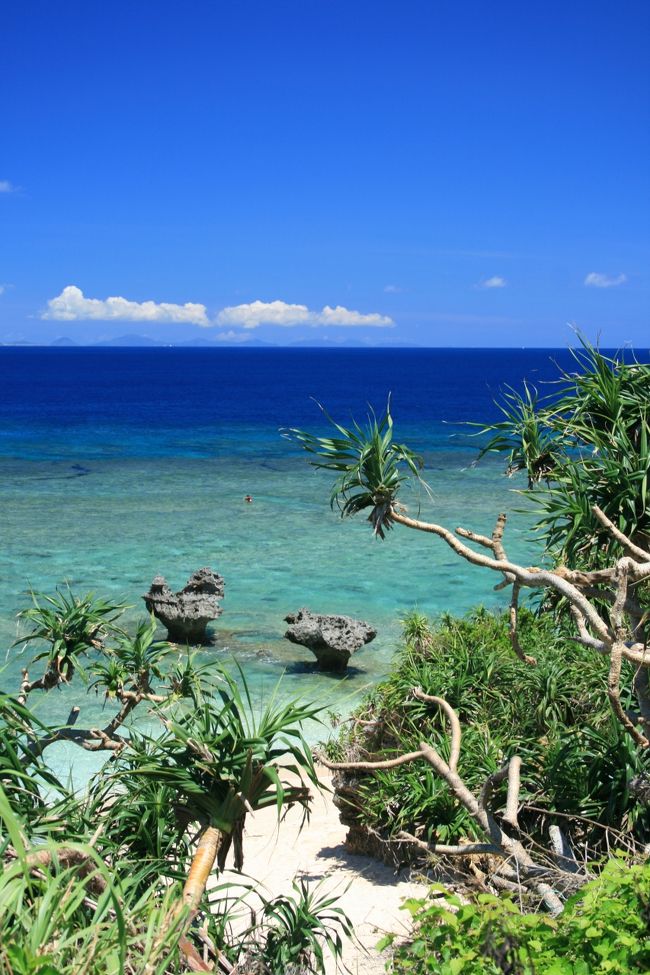 仕事で月一回訪れる『古宇利島』！！<br />海の色は素晴らしいものがあります。<br />今日の天気は快晴の予報！！<br />これは一眼を持って行くしかないな！！<br />と言う事で、お世話になっている地元の方に案内して頂きました。<br />さすが地元人！！穴場中の穴場へ次々と案内して下さいました。<br /><br />Ｔ専務どうもありがとうございました　m(__)m