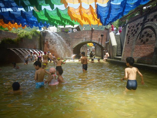 しばらくぶりの海外旅行。夏休みも短く、2泊3日では遠くへ行けないので台湾に行先を決めました。<br /><br /> 息子二人は夜市は好きですが、普通の観光名所にはあまり興味のない様子。<br /><br /> 然らばちょっと毛色の変わった場所へ行ってみようか…今年の夏は海水浴に行く予定もないし、暑い台湾で泳ぐのもよかろうということで、蘇澳にある観光冷泉に行ってみることにしました。<br /><br /> 台北から蘇澳まで、単純に往復するのは面白くないので、行きは列車、帰りはバスで変化をつけてみました。<br />