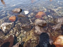 夏真っ盛りの伊豆大島　その３　。