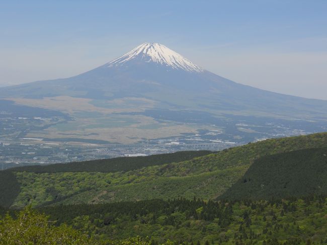 彷徨いオヤジは美術館廻りに執念を燃やし、アレも観たい、コレも観たいで徘徊が続いてます。<br />少し前から気になっていた静岡県立美術館に行きました。あまり計画もたてずにとりあえずハンドルを握るのは、一人旅の良い所。<br />気の向くまま絵画で日本、西洋の旅が続きます。