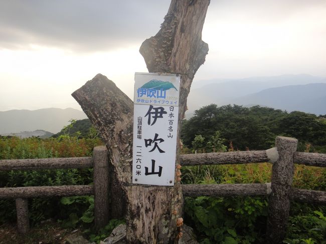 琵琶湖のほとり長浜ロイヤルホテルへ泊まり、長浜城周辺散策。<br /><br />世界遺産である比叡山延暦寺を参拝したり、<br /><br />近江八幡、国宝彦根城などへ行き、歴史を辿ってきました。<br /><br />①では夏の山花を観に伊吹山を散策します。<br />