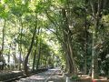 茅ヶ崎の旅行記