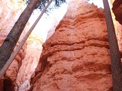 2011年グランドサークル⑩Bryce Canyon　NP　その1