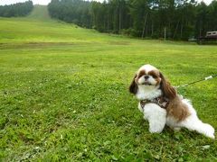 優雅な避暑♪ 上信越国立公園でリゾートライフ！ Vol.２０ ☆浅間高原のスカイパーク♪愛犬と一緒に！Ｎｏ．２