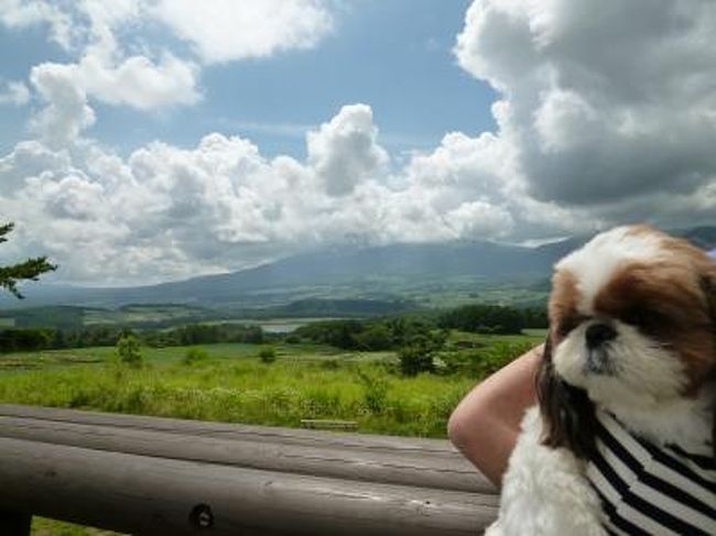 優雅な避暑♪ 上信越国立公園でリゾートライフ！ Vol.1４ ☆愛犬と一緒に愛妻の丘♪