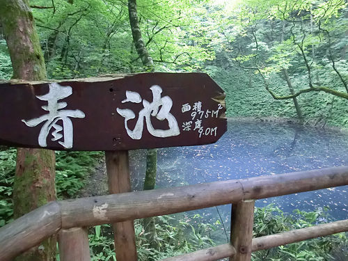 お盆　１０枚　山と海の風景 お盆 10枚 山と海の風景