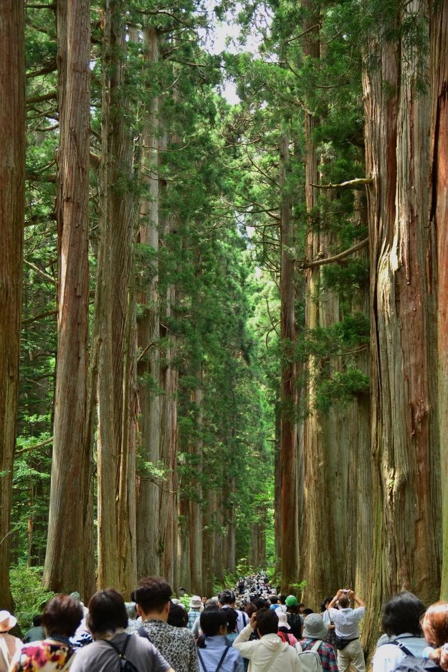 日帰りバスツアーを利用して一度訪れたいと思っていました「戸隠神社奥社」に参拝してまいりました。<br /><br />表紙の写真をご覧下さいませ～<br />ものすごい人・人・人～まるで原宿の竹下通りのようです。（笑）<br /><br />それでも訪れたからには楽しまなくっちゃっと前向きな花です。<br />パワーを一杯いただきましょう～（*^_^*）<br /><br /><br /><br />戸隠神社<br />http://www.togakushi-jinja.jp/index.html<br /><br />☆奥社参道杉並木☆<br />