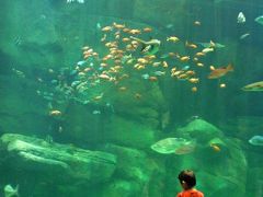 ２０１１夏　広島へ　宮島水族館「みやじマリン」