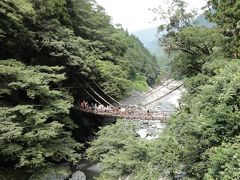 大歩危　小歩危　祖谷のかずら橋