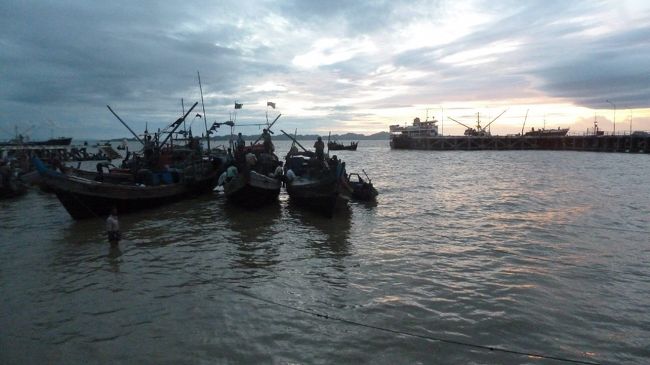 夜明け前から人々が漁港へと足を向ける。<br />いい魚を買うためだ。<br />ベンガル湾から上がる魚は大きな獲物は見られなかったが、食に対する人々の気持ちは感じられた。