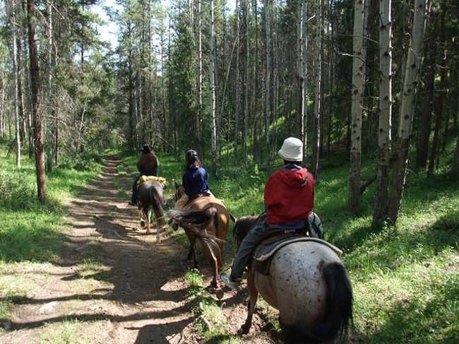 2011年8月5日〜8月14日までカナディアンロッキーのジャスパー（Jasper）とマウントロブソン州立公園(Mount Robson Provincial Park)を家族で旅しました。<br />マウントロブソンではヘリコプターでのトレッキングを楽しみ、ジャスパーでは軽いハイキングや、乗馬・ラフティングといったアクティビティに挑戦しました。<br /><br />2年前にもバンフで乗馬をしましたが、ここジャスパーではまた違った面白さがありました。ジャスパーのコースは基本的に山の中をのんびり・ゆったりお散歩といった感じで、バンフの時のような川を渡ったりという派手さはありませんでしたが、雄大な景色を眺めながらカナディアンロッキーの自然を楽しむのに向いていると思います。<br />今回利用した乗馬クラブは、Jasper Park Stablesで、利用したコースはTwo-Hour Trail Ride (Ridgeline, Cottonwood Loop)です。<br /><br />★☆　★☆　★☆　★☆　★☆　★☆　★☆　★☆　★☆　★☆　<br />関連旅行記　口コミ<br />マウントロブソンを楽しむ<br />1日目　リバー・サファリでクマと出会う！：http://4travel.jp/travelogue/10593439<br />2日目　ロブソン山　ヘリハイク： http://4travel.jp/travelogue/10593643<br />3日目　スノーバード・パスを歩くトレッキング：http://4travel.jp/travelogue/10594369<br />4日目：バーグ・レイク トレイル：http://4travel.jp/travelogue/10594727<br /><br />番外編<br />動物編：http://4travel.jp/travelogue/10594984<br />乗馬編：http://4travel.jp/travelogue/10596304<br />ラフティング編：http://4travel.jp/overseas/area/north_america/canada/jasper/tips/10193945/　<br />★☆　★☆　★☆　★☆　★☆　★☆　★☆　★☆　★☆　★☆