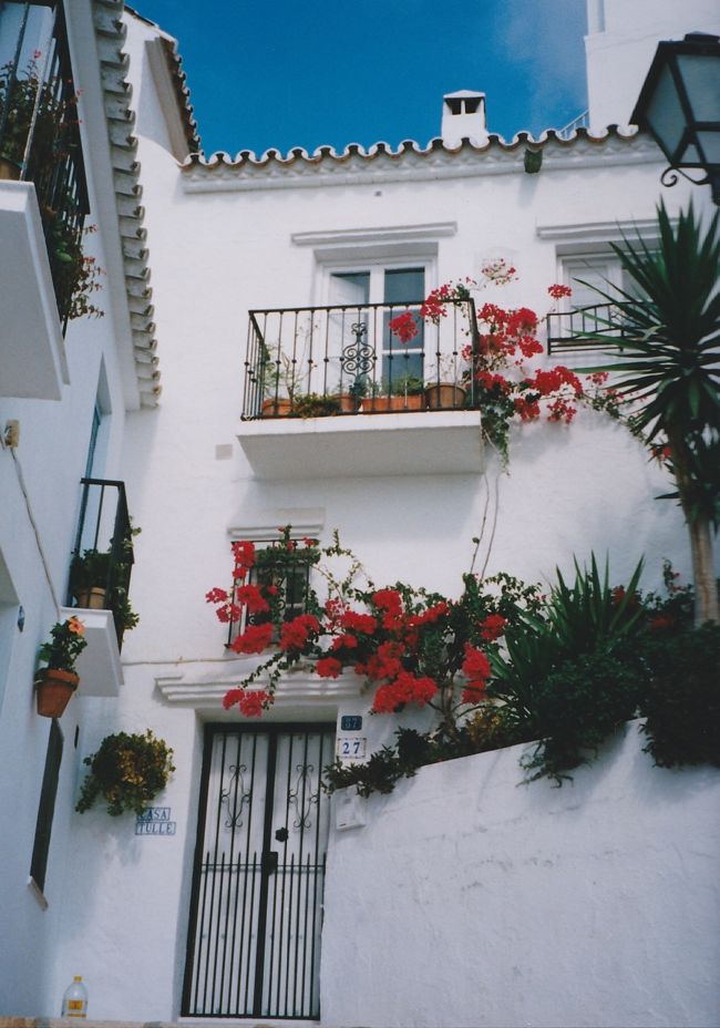 青 白 花 スペイン アンダルシア地方 スペイン の旅行記 ブログ By Ryoさん フォートラベル