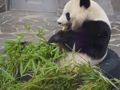 ちょっと王子動物園まで(＋練習見学編)