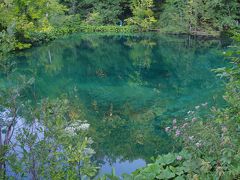 クロアチア・絶景を巡る旅③～プリトヴィッツェ湖畔国立公園・上湖群編～