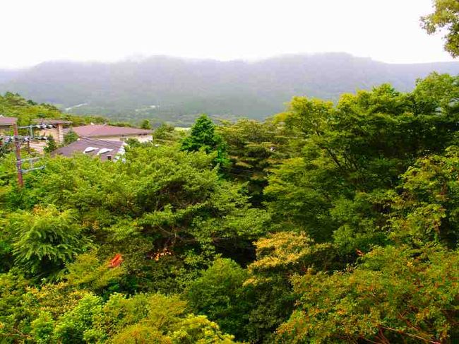 奥さんの遅い夏休みが取れたので、ミニ温泉旅行に出かけました。<br />箱根・ひめしゃらと山梨県南部町の船山温泉で2か所とも何回も行っています。<br /><br />例によって奥さんは職場から直接、私は一人で電車とバスでひめしゃらに向かいました。<br /><br />http://www1.ocn.ne.jp/~k-hime/frameset.htm