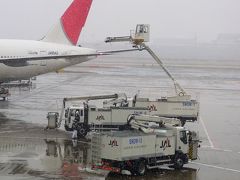 羽田空港に到着しましたが、悪天候の影響が羽田にも出ていました。