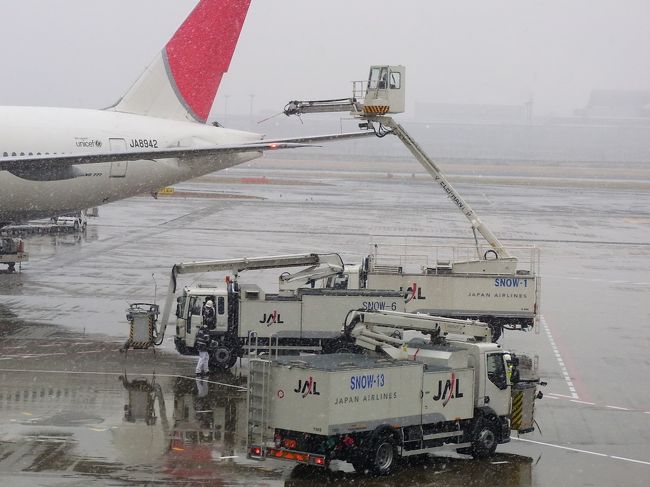 羽田空港にも何時でも設置してある時節機材ですが、年に２,３回程度見掛けますが　今回は頑張って飛行機の雪を落としていました。