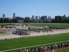 H4 夏の競馬開幕の札幌競馬場は芝がきれいだった