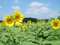 夏の終わりに常陸の旅へ・・・