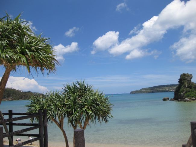 １２年ぶりで沖縄へ家族旅行してきました。<br />エメラルドブルーの海と白いビーチ<br />森カフェにも癒されました。<br /><br />