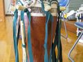 新湊・射水の旅行記