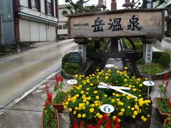 台風の中の岳温泉と那須のｱﾙﾊﾟｶ牧場