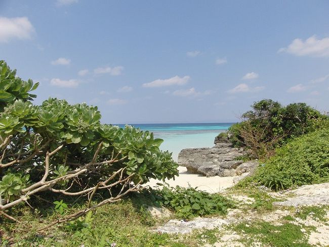 波照間島・小浜島