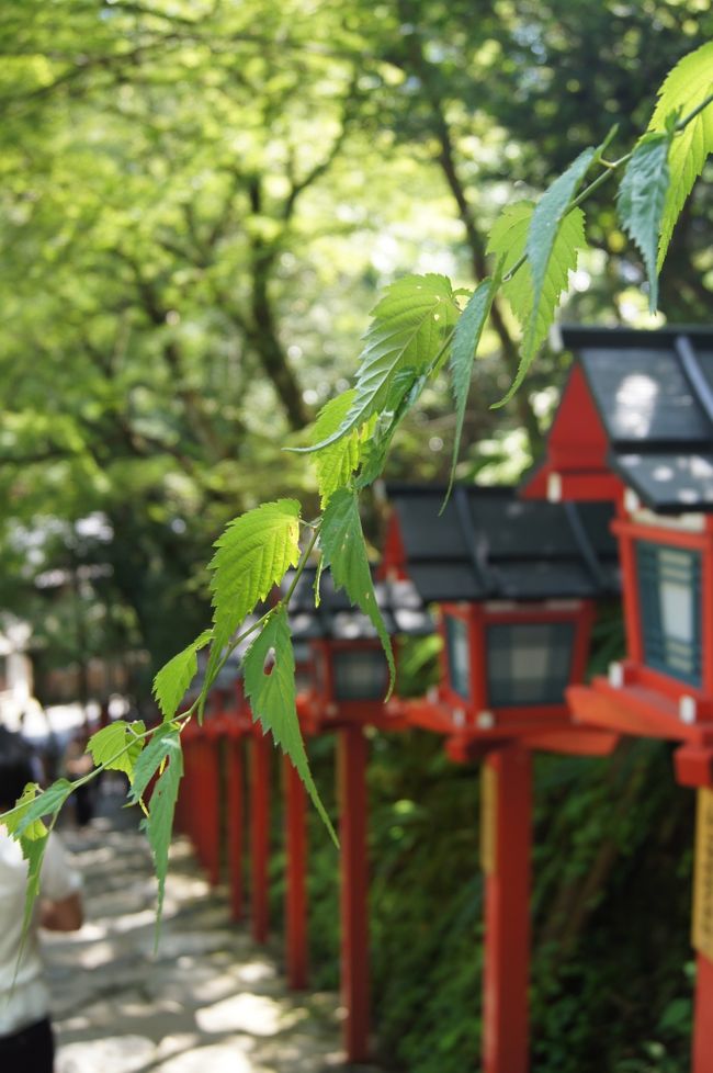 本日の最高気温 32度<br /><br />水面の真上に作られた川床は、蒸し暑い京都盆地より5度〜10度も涼しいそうです。<br />そんな清流と緑に囲まれ、友人と楽しくお食事し、贅沢な時間を過ごしてきました。<br /><br /><br />なんとな〜〜く作ってみたくなったので、ここで一首!<br />『川床の 川音に耳を かたむけて 涼を感じて 夏を味わう』<br /><br />仲よしHP:http://www.kibune-nakayoshi.co.jp/<br /><br /><br /><br />