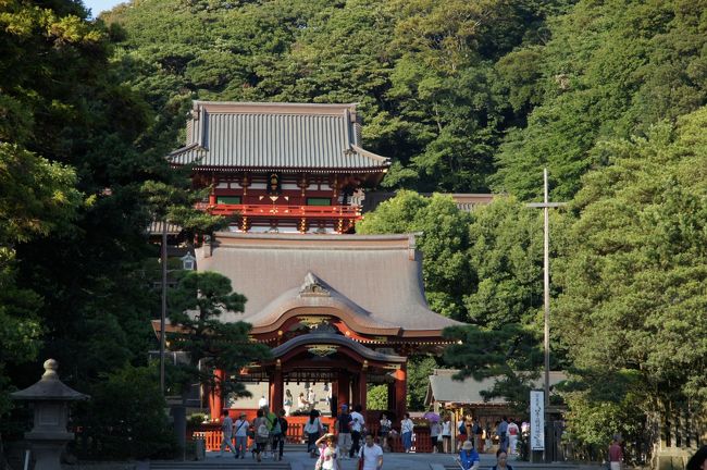 横須賀の次は、鎌倉に寄って行きましょ。横須賀線で、4駅だっけ。すぐですね。<br /><br />鎌倉と言えば、鎌倉大仏かなと思いましたが、駅からちょっと距離が有りますなぁ。と言う事で、鶴岡八幡宮にお参りに行きましょうかね。
