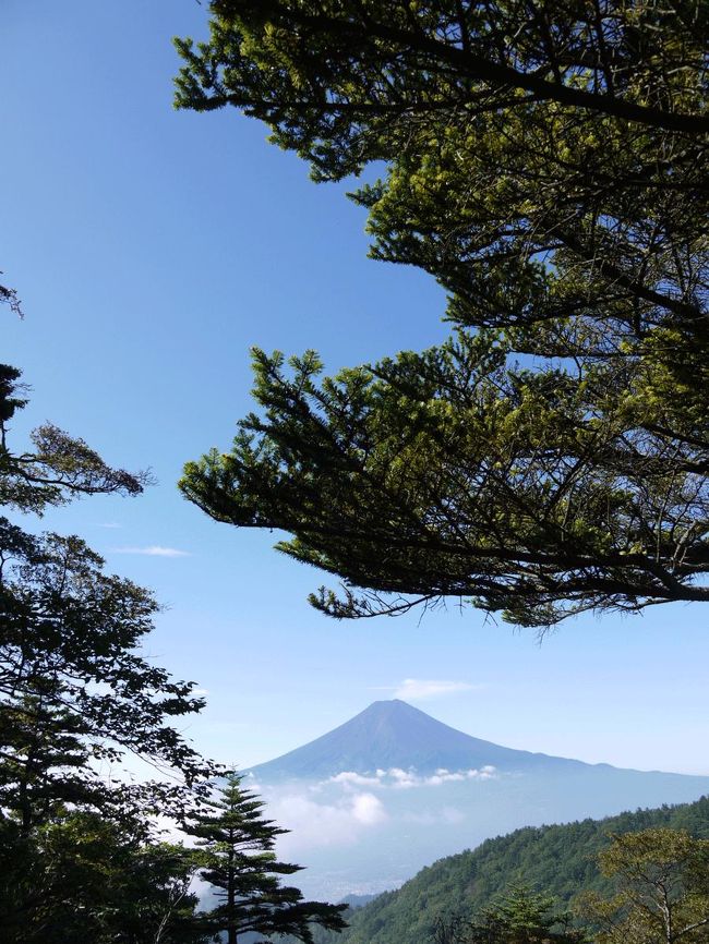 前回来たのはいつだったかな。<br />２度目のトライです。<br />今回（３回目）は。下山です。<br /><br />開運山、木無山、御巣鷹山と三つの頂が集まり一つの山のようになったところが三ツ峠です。富士山の絶景を眺められるポイントとしてたいへん有名です。山頂付近には多彩な高山植物や野鳥の姿もみられます。山小屋を拠点にすれば早朝の写真撮影なども容易です。<br />（富士河口湖町役場のHPより。）<br /><br />★富士河口湖町のHPです。<br />http://www.town.fujikawaguchiko.lg.jp/ 