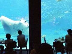 １５．２０１１年夏休み８泊９日の国内旅行　沖縄美ら海水族館（おきなわちゅらうみすいぞくかん）　カフェ オーシャンブルーの朝食