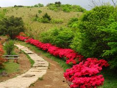 2011年5月 筑波山つつじ祭り★そして、ありがとう江戸屋さん