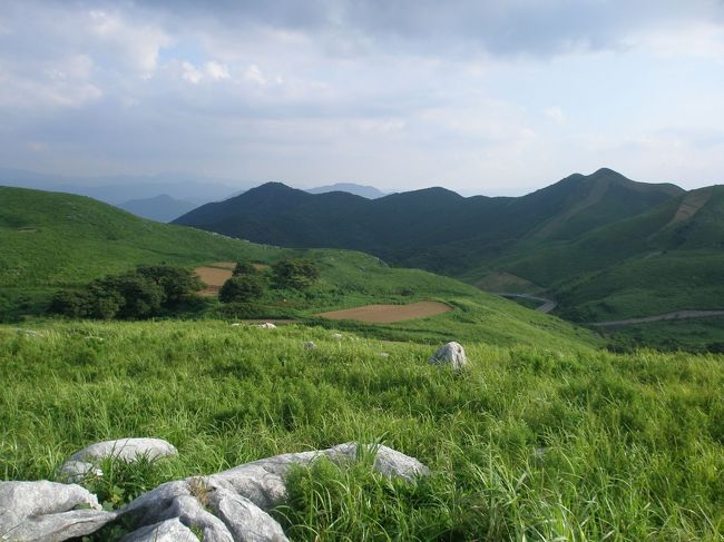 日本有数のカルスト台地”平尾台”に行って参りました。<br />夏が一番いい季節ですね〜♪