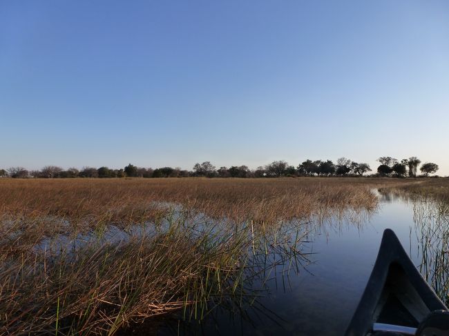 オカバンゴ・デルタ（Okavango Delta）は、ボツワナ北部、カラハリ砂漠の中にある内陸デルタです。<br /><br />面積は16000キロ平方メートルに及び、世界最大の内陸デルタです。<br />そのうちの6000キロ平方メートルは常に湿地です。<br />しかし、季節によってその面積は変わります。<br />最も小さくなるのは真夏である1月です。<br /><br />この時期、800km離れたアンゴラにあるオカヴァンゴ川の源流域では雨季で、膨大な量の降雨が川に流れ込んできます。<br />この水は4月にはデルタの入口であるパンハンドル地帯にたどりつき、5月から8月までの4ヶ月かけて洪水を起こし、非常にゆっくりとデルタ全域に広がっていきます。<br />デルタは非常に平坦なため、250kmのデルタに水がいきわたるのにそれだけの時間がかかります。<br /><br />この時期はボツワナで最も乾燥した冬の季節であり、生物にとって貴重な水場となってます。<br /><br />乾燥した大地に豊かな水源があるのは自然の神秘を感じずにはいられません。<br />そんなデルタを見たいと言うのが今回の旅の目的の一つでもありました。<br />