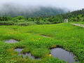 栂池・白馬乗鞍の旅行記