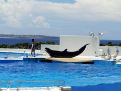 １８．２０１１年夏休み８泊９日の国内旅行　海洋博公園 オキちゃんパーラーの昼食　オキちゃん劇場のイルカショー