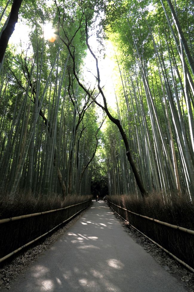 京都旅行 嵐山と広隆寺と太秦映画村編 嵐山 嵯峨野 太秦 桂 京都 の旅行記 ブログ By Nonacさん フォートラベル