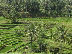 2初バリは適度に観光、適度にのんびり　～ウブド周辺編～