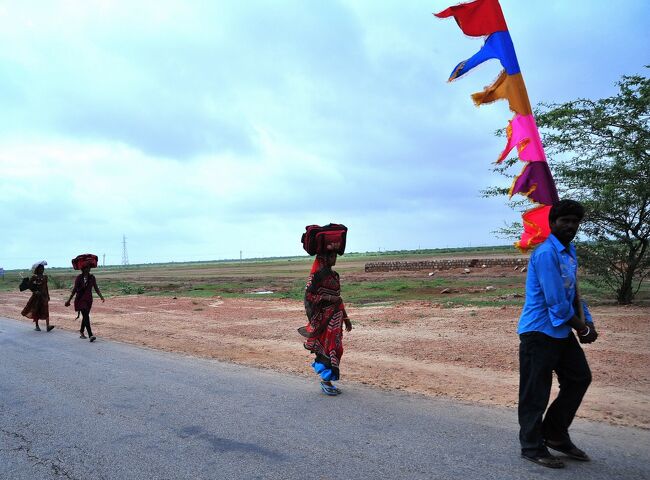 インド、Rajasthan州をひと回りしました。<br />夜行列車、ジャイサルメールとジョドプルのFort＝城砦見学、<br />宮殿ホテル滞在がポイントの旅行です。<br />移動はガイド、ドライバーと共に自動車が中心で、<br />その他は夜行列車と国内線空路です。<br /><br />旅行記No8はジャイサルメールからジョドプルへの車移動です。<br />この旅行二日目夜から三日目昼にかけて、夜行列車でデリーから<br />ジャイサルメールへ移動しました。<br />そのコースのおよそ半分を今度は車で戻ることになります。<br />おりしもポカランにあるヒンドゥー教の名刹ババラーンデール寺院の大祭の日にあたります。↓<br />http://runichadham.blogspot.com/<br /><br />巡礼者は一様に色とりどりの旗を掲げているので、それとすぐ知れます。<br />ババラーンデール寺院を目指す多くの巡礼者とすれ違います。<br />彼達は徒歩で、自転車で、バイクで、はたまた農業用トラクタが牽く車に乗って、人によっては数百キロの距離を、野宿しながら、あるいは施し所に泊まりながら今日の大祭のために寺院を目指してやってきます。<br />驚くべきは脱ぎ捨てられた靴の山です。残念ながら写真に撮れませんでしたが、巡礼者達は自分の敬虔な信仰心を行動で表現し、自己確認するために、寺院の手前数キロあるいは１０キロ程で靴を脱ぐのです。通常寺院の境内で脱ぐのですが、この日は特別です。<br />その靴が道路に転々と放置され、ある施し所の前ではうず高く積み上げられていました。<br />敬虔な信仰心と言うより、信仰心の激しさを感じさせられる光景でした。<br />ちなみに、参拝した帰りに自分が脱ぎ捨てた靴が見つかればまたはいて帰ることもあるし、そのまま裸足で帰ることもある由。あるいは適当に見つけてはくこともあるかもしれません。<br /><br /><br />日程<br />１日目：成田⇒デリー。ザ・グランド泊。<br />２日目：オールドデリー街歩き⇒夜行列車でRajasthan州のジャイサルメールへ。列車泊。<br />３日目：昼ジャイサルメール着⇒夕方サム砂丘へ。<br />　　　　ジャイサルメール、フォートラジワダホテル泊。<br />４日目：fort＝ジャイサルメール城、ジャイナ教寺院、バザール歩き。<br />　　　　ジャイサルメール、フォートラジワダホテル泊<br />５日目：ジョドプールヘ車移動。Fort＝メヘランガール城、バザール歩き。<br />ウメイドバワンパレス泊。<br />６日目：ウダイプルへ車移動。<br />　　　　途中ジャイナ教のアーディナータ寺院、サヘーリョーン・キ・バーリー庭園見学。<br />　　　　ウダイプル、レイクパレスホテル泊。<br />７日目：ガート、シティパレス見学後、空路デリーへ。国際線デリー発。<br />８日目：成田着<br /><br /><br /><br />