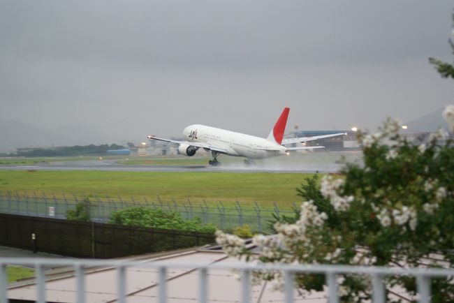 短期間の滞在ですが、神戸・三宮から一路　大阪国際空港（伊丹空港）へ戻ってきました。<br />さて、空港ビルの展望デッキから撮影はしているのですが、やはり滑走路が遠いので大型機の撮影が難しいですね。<br />なので地元でも空撮スポットとなっている空港滑走路よりにある伊丹スカイパークへ行くことにしました。<br />滑走路を真横にして離発着を見ることができるポイントです<br /><br />地元でないので伊丹空港から路線バスで移動します。<br />地元の方が多く訪れる場所での撮影を敢行しました。<br /><br />